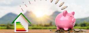 Energy Consumption Behavior