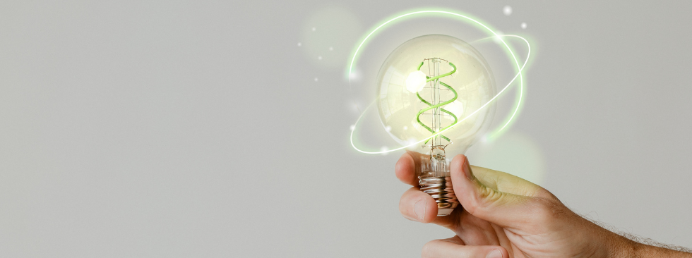 Electricity Distributors vs Electricity Retailers Australia