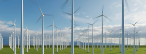 Fixed Rate Electricity 2025