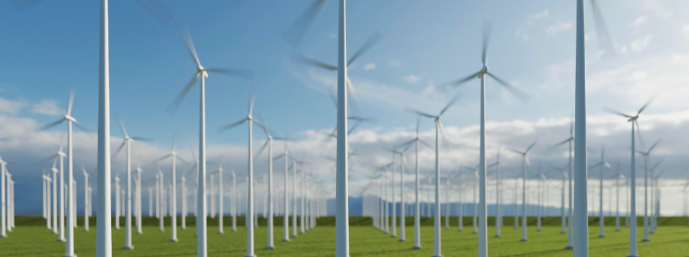 Fixed Rate Electricity 2025
